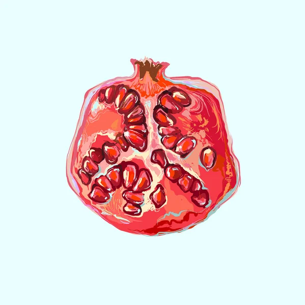 Ein halber Granatapfel mit Kernen, handgezogene Früchte isoliert auf hellem Hintergrund. realistische Vektordarstellung. — Stockvektor