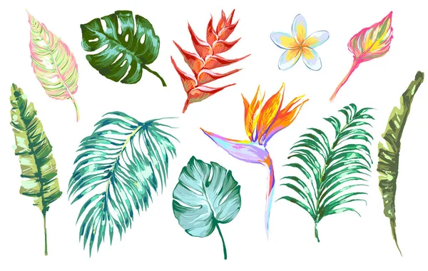 Fiori e foglie tropicali. Elementi isolati di design vettoriale sullo sfondo bianco . — Vettoriale Stock