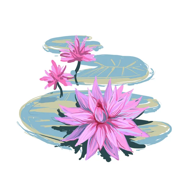 Vector sketch realistic illustration of lotus flowers and leaves isolated on white background.. Design for natural cosmetics, health care and ayurveda products, yoga center. — Stock Vector