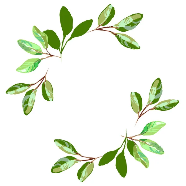 Växtbaserade minimalistisk vektor ram. Handritad växter, grenar, blad på vit bakgrund. Grönska bröllopsinbjudan. Skiss stil. Naturliga Kortdesign. Alla delar är isolerade och redigerbara. — Stock vektor
