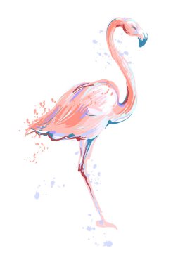 Beyaz arka plan üzerinde pembe flamingo sketch vektör çizim