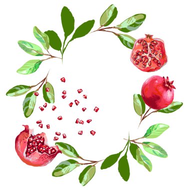 Suluboya nar tohum ve yaprakları ile yuvarlak çerçeve vektör. Bir tebrik kartı arka plan, Doğum günü, anne s gün için ve benzeri kullanılabilir.
