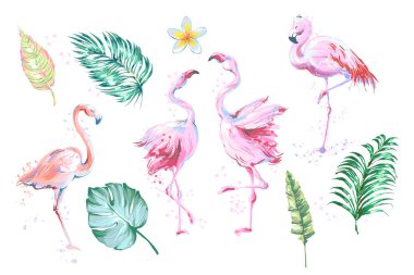 Yaz tasarım öğeleri tropikal yapraklar, çiçekler, flamingolar kümesi. Vektör çizim