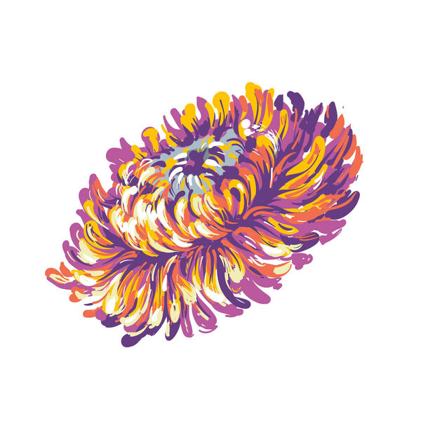 Luxurious decorative vector pink Aster flower for floral decoration, embroidery
