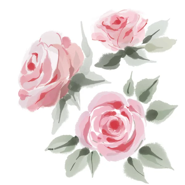 Nastavené růže, akvarel, mohou být použity jako blahopřání, Pozvánka na svatbu, narozeniny a jiné svátky a letní zázemí. — Stock fotografie