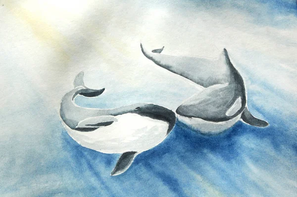 Water color marine art with couple killer whale — Stock Photo, Image