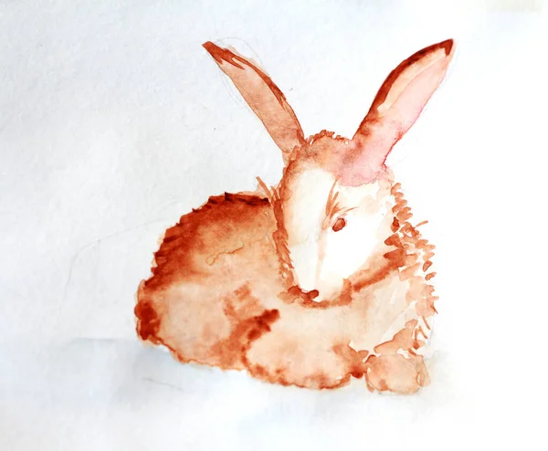 Water color painted brawn rabbit on white background — Stock Photo, Image