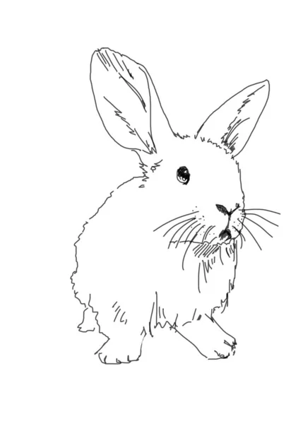 Dessin à la main art de la ligne de petit lapin de Pâques — Photo