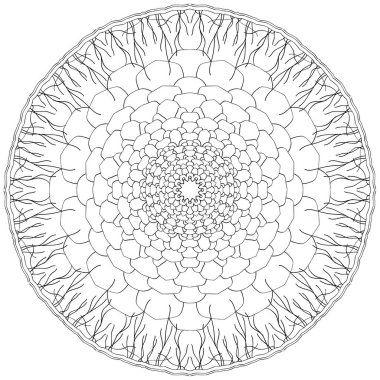 Yuvarlak dekoratif mandala vektör çizgisi sanatı 