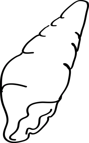Línea simple vector de arte de concha marina — Archivo Imágenes Vectoriales