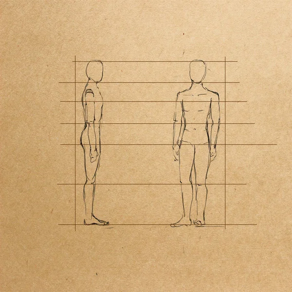 Dessin à la main esquissant l'art des proportions de l'homme en forme — Photo