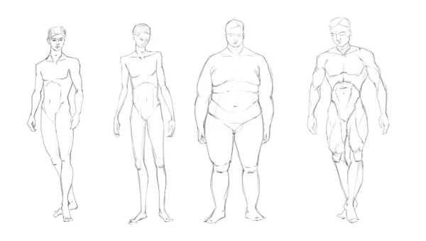 Dessin à la main esquissant l'art des proportions de l'homme en forme — Photo