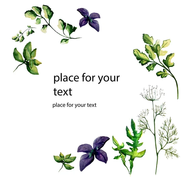 Suluboya el boyası bitkisel ve baharat seti.