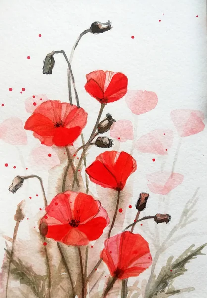 Aquarelle peint à la main rose jardin fleurs coquelicot — Photo