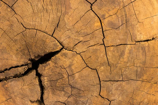 Rustik ahşap masa tahıl doku vintage tarzı ile kapatın. Makro kavram arka plan veya duvar kağıdı ve diğer tasarım için boş şablon ve kopya alanı ile eski ahşap tahta yüzey.