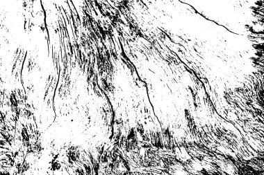 Siyah ve beyaz grunge kentsel doku vektör kopya alanı ile. Soyut illüstrasyon yüzey toz ve kaba kirli duvar arka plan boş şablon ile. Sıkıntı ve grunge etkisi kavramı. Vektör Eps10.