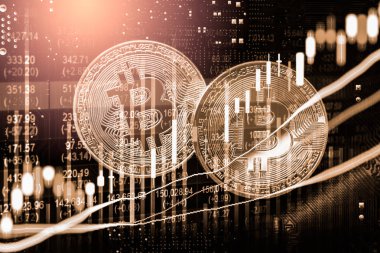 Modern şekilde değişiminin. Bitcoin genel olarak uygun ödeme yapılır 