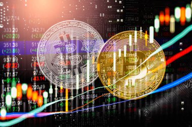 Modern şekilde değişiminin. Bitcoin genel olarak uygun ödeme yapılır 