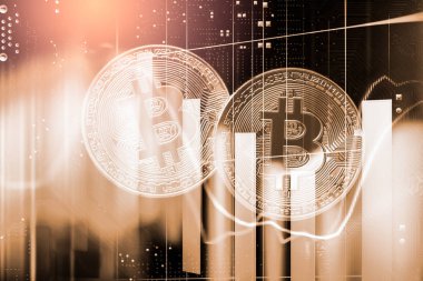 Modern şekilde değişiminin. Bitcoin genel olarak uygun ödeme yapılır 