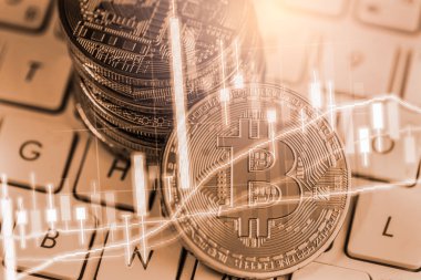 Modern şekilde değişiminin. Bitcoin genel olarak uygun ödeme yapılır 