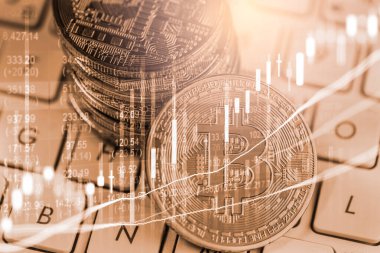 Modern şekilde değişiminin. Bitcoin genel olarak uygun ödeme yapılır 