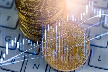 Modern şekilde değişiminin. Bitcoin genel olarak uygun ödeme yapılır 