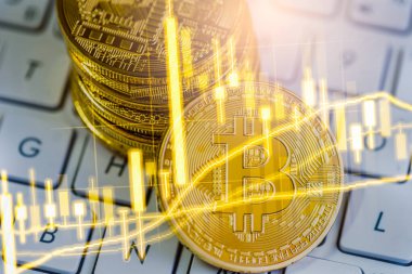 Modern şekilde değişiminin. Bitcoin genel olarak uygun ödeme yapılır 