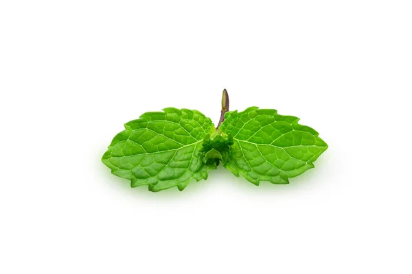 Hojas Menta Cruda Orgánica Mentol Sobre Fondo Blanco Aislado Con — Foto de Stock