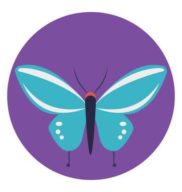 Güzel bir uçan böcek, kelebek 