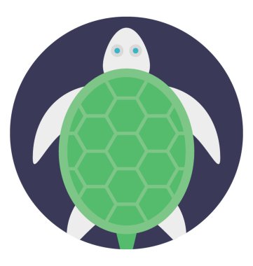 Deniz kaplumbağası ile yeşil deniz hayvanı kabuğu