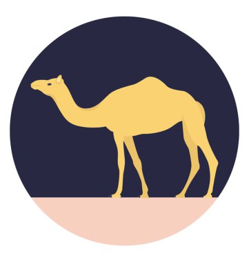 Deve, bir büyük, uzun boyunlu ungulate memeli ince uzun bacaklar, geniş yastıklı ayak ve ya bir ya da iki ile kurak ülkenin sırtında hörgüç