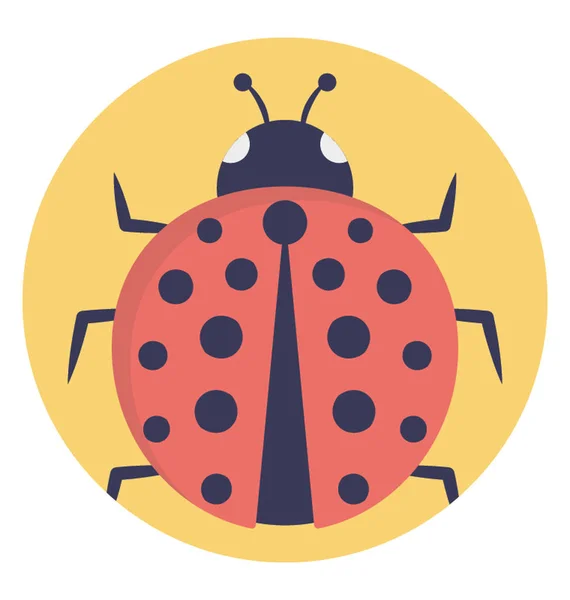 Coccinellidae Είναι Κοινώς Γνωστό Ladybugs Πασχαλίτσες Ευρέως Προτιμούν Ονόματα Πασχαλίτσας — Διανυσματικό Αρχείο