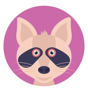 Kedi, küçük bir yumuşak kürklü etçil memeli Evcil, bu yaygın bir evcil hayvan olarak tutulur 