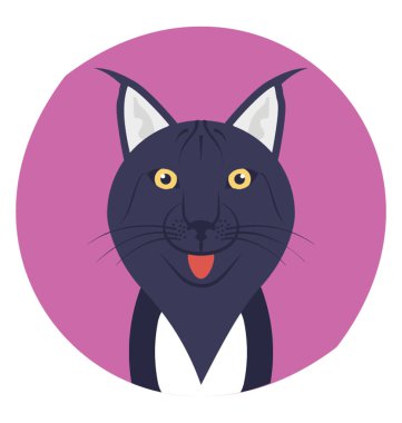 Kedi, kedi ya da diğer kedi aile üyesi 