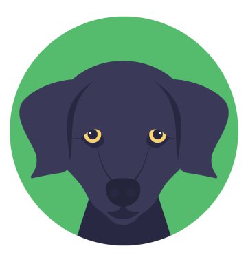 Evcil memeliler, doğal değil vahşi hayvanlar köpekler 