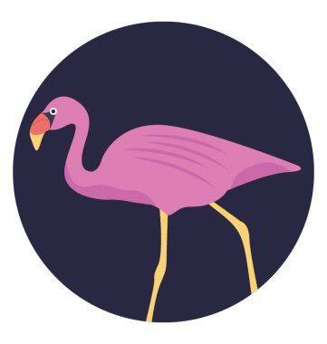 Vinç kuş, uzun bacaklı ve uzun boyunlu kuş