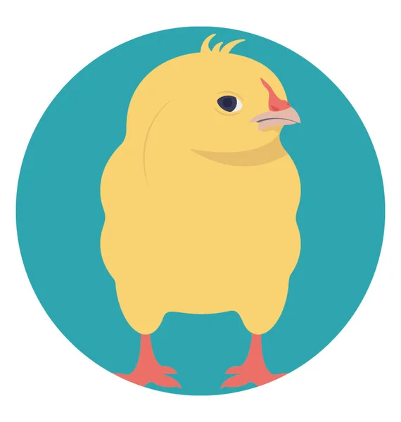 Chick Ung Fågel Speciellt Nyligen Kläckts — Stock vektor