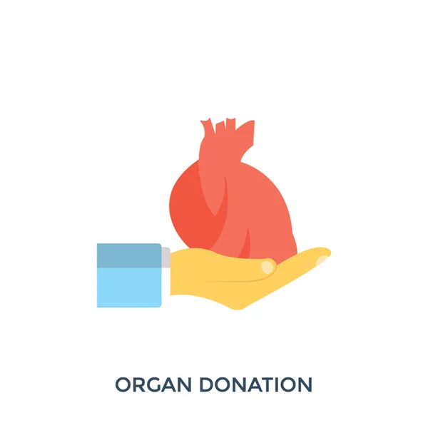 Hand Die Ein Organ Eines Körpers Verschenkt Der Das Konzept — Stockvektor