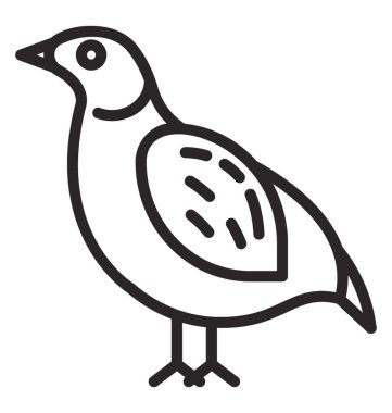 Pakistans Ulusal kuş temsil eden bir güzel renkli tıknaz bir kuş 