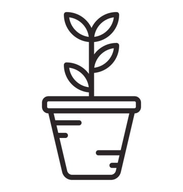 Taze yaprakları büyüyen bitki açıklayan bir çamur vazo 