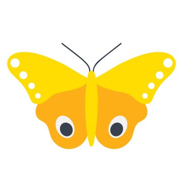 Erkek g/ç güve simgesi simgesi kelebek için tasvir için tasarlanmış 