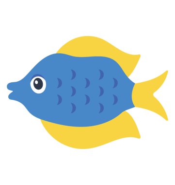 Mavi renk vücut, sarı yüzgeçleri ve kuyruk Barajı bencil resmeden bir tropikal tatlı su balığı