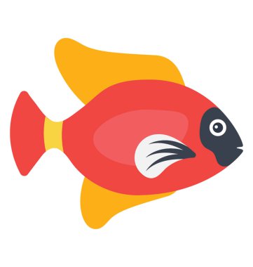 Tropikal balık karakterize turuncu yüzgeçleri ile kırmızı renkli akvaryum evde beslenen hayvan balık 