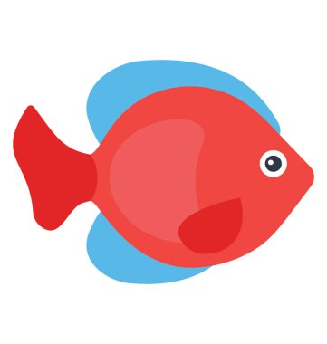 Kayalık yüzeylerde, aulonocara Balık Gölü Malavi çiklitleri nakit yaşıyor