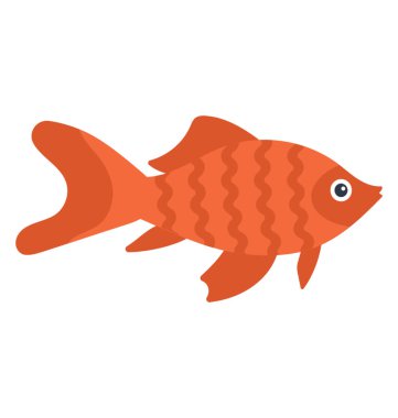 Sevimli küçük boyutlu balık genellikle sürekli akvaryumlarda küçük havuzlar, küçük kırmızı balık 