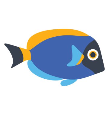 Hint Pasifik surgeonfish mavi tang balıktır