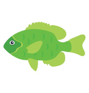 Kemikli balıklar ailesine algılamak balık ile ilgili 