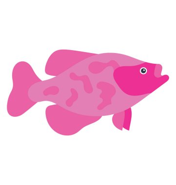 Pembe akvaryum balık türünü karakterize akvaryum içinde tutmak için bir şirin güzel küçük boy balık 