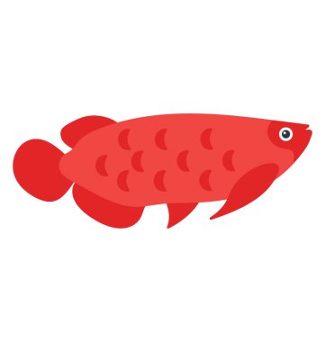Tropikal balık arowana düz vektör simge görüntüsünü 