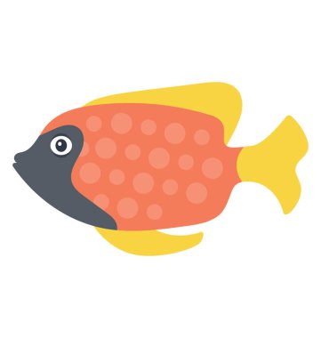 Bir balıktır makas gibi kuyruk ve lekeler ile geniş vücut sahip siyah leke Goldfish